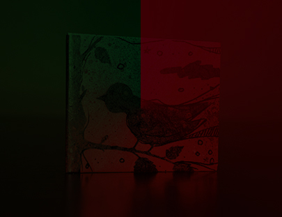 发手机号软件app